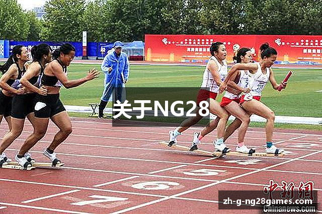关于NG28
